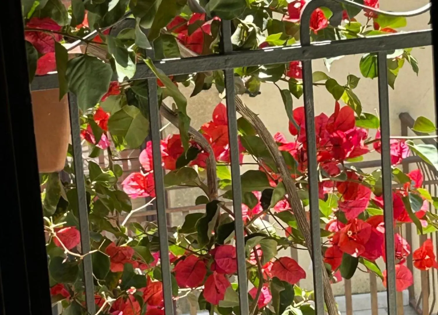 B&B L'Angolo Sulla Piazza Mirabella Imbaccari 3*,  Italien